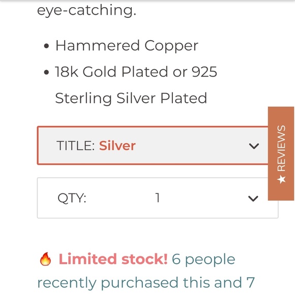 Aria Lattner Hammered Disc Silver Earrings - Picture 7 of 7